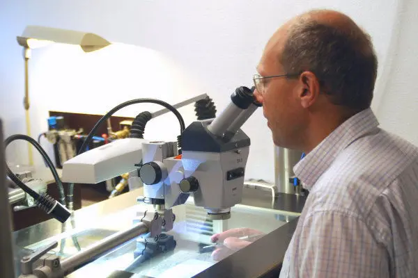 Holzmaden_Fossilien_Praeparation Holzmaden_Fossilien_Praeparation