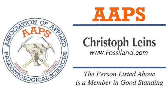 Holzmaden_Fossils_Quality_Promise