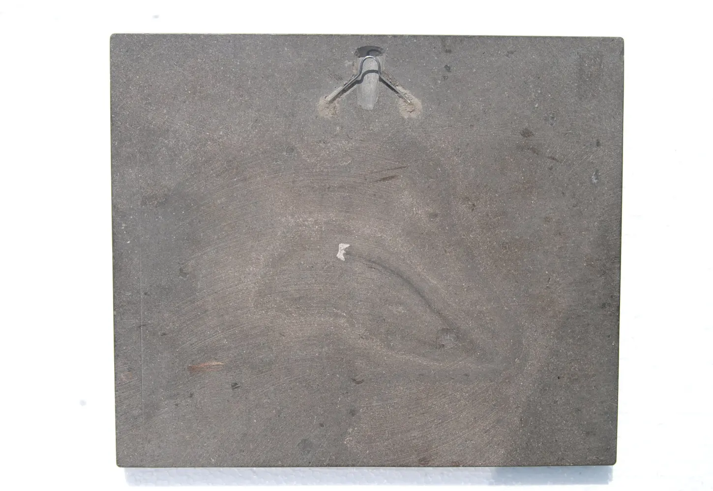 Seirocrinus subangularis_Holzmaden_01d