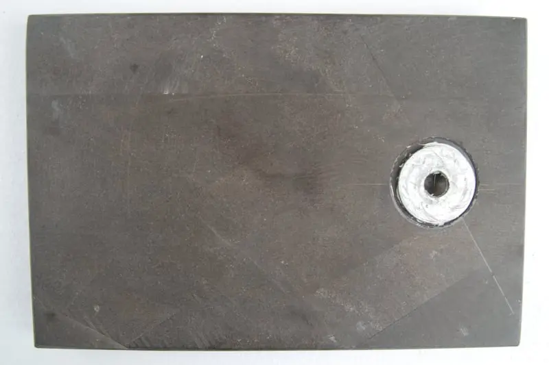 Pentacrinus briareus_Holzmaden_02d