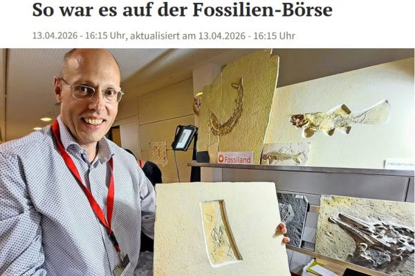 Holzmaden Vermittlung Fossilienmesse Holzmaden Fossilien Vermittlung
