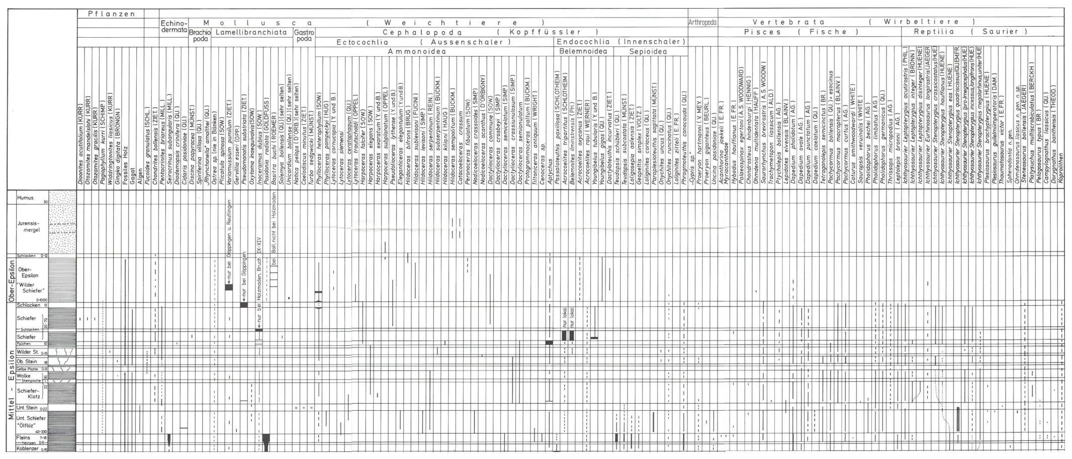Holzmaden_Profile_Detail