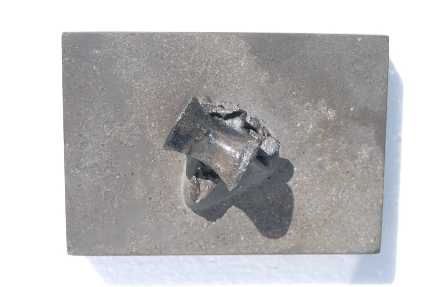 Steneosaurus_Holzmaden_02b